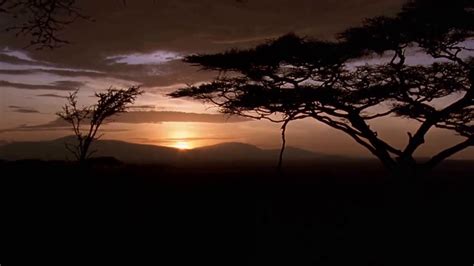 [10 Hours] African Savannah Sunset - Video & Soundscape [1080HD] SlowTV - YouTube