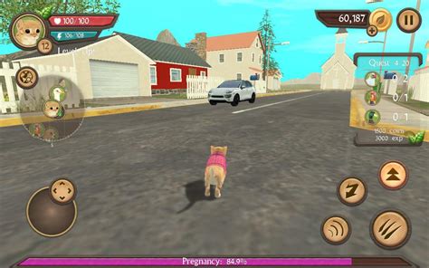 Cat Sim Online: Play with Cats APK Download - Free Simulation GAME for Android | APKPure.com