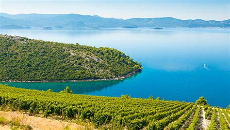 Croatian Wine Regions: A Quick Overview