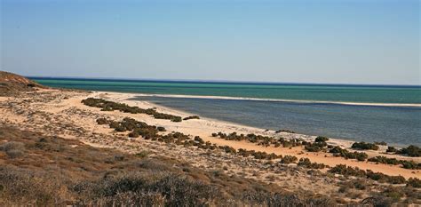 Shark Bay: A World Heritage Site at catastrophic risk