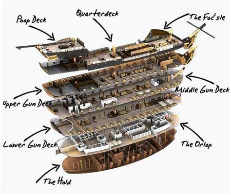 Layout of a sailing warship | Tall ships, Model sailing ships, Hms victory