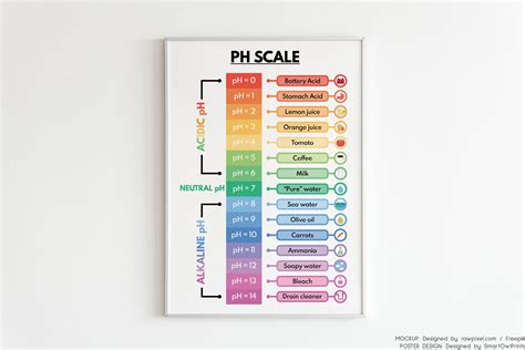 Ph Scale Worksheet For Kids