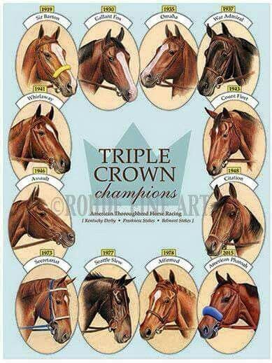 Was I the only one who thought secretariat was the only triple crown ...