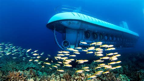 Introducir 42+ imagen atlantis submarine adventure cozumel - Abzlocal.mx