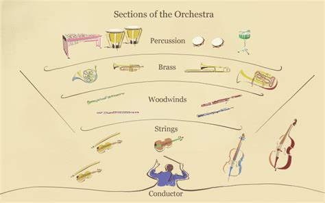 Describe the Major Sections of the Orchestra - Delilah-has-Sheppard