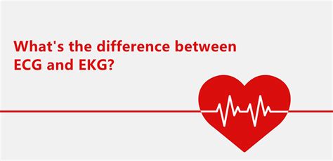 What's the Difference Between ECG And EKG? – Linktop