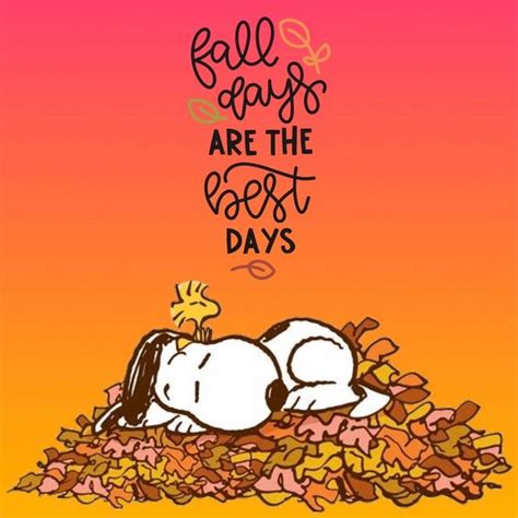 I ♥️ the Fall! 🍃🍁🍂💚💛🧡 ️ | Snoopy love, Snoopy quotes, Snoopy pictures