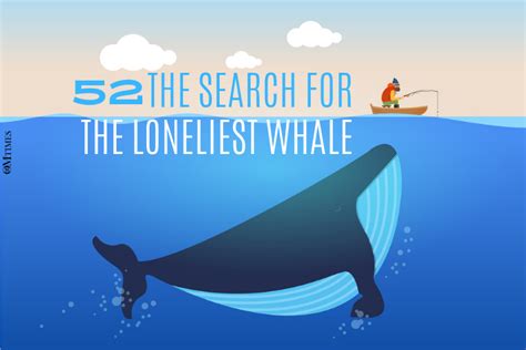 The Search for the Loneliest Whale - OMTimes Magazine