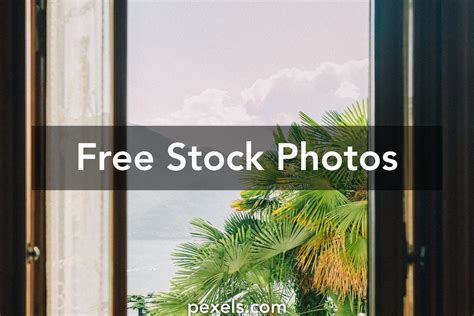 Window Outside View Photos, Download The BEST Free Window Outside View Stock Photos & HD Images