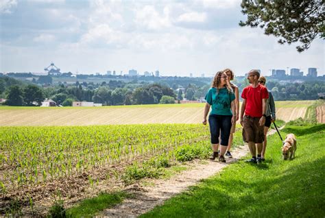 Stay on track with walking routes in the countryside this summer | The Bulletin