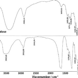 (PDF) Nitrocellulose Synthesis from Miscanthus Cellulose