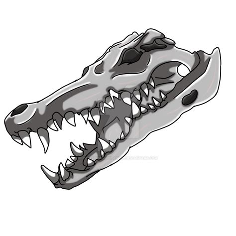 Crocodile Skull by HellsDementedAngel on DeviantArt