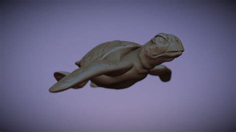 Sea Turtle - Download Free 3D model by sethname [ba18340] - Sketchfab