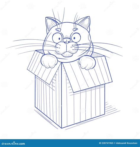 Cat sitting in a box stock vector. Illustration of background - 228741965