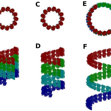 Tubulin assembly structures consisting of 50 tubulin heterodimers to ...