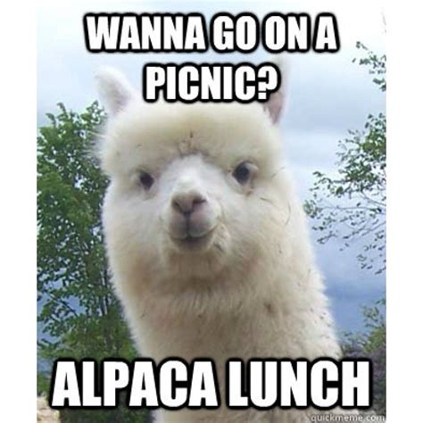 15 Of The Best Animal Puns You've Ever Heard | Alpaca funny, Animal ...