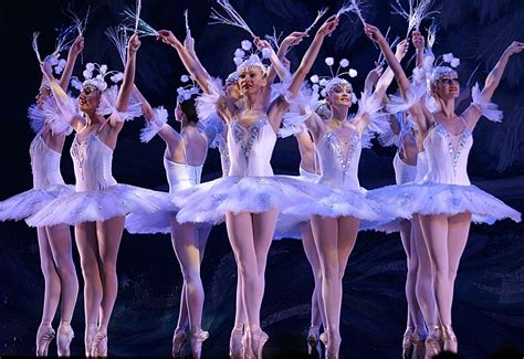 ballet pic - Ballet Photo (9710817) - Fanpop