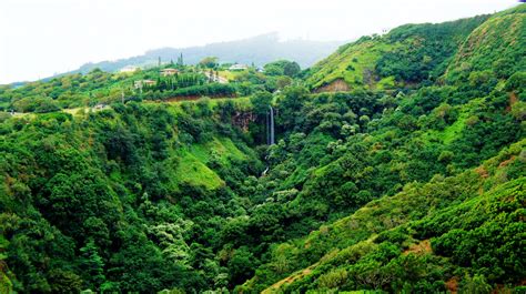 Wallpaper : beach, palm trees, jungle, Hawaii, tropical forest ...