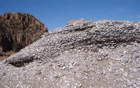 Seafarers and Shell Rings: Strange Formations on the American Coast a Hallmark of Faraway ...