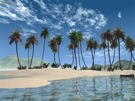 Palm Tree Beach Wallpapers - Wallpaper Cave