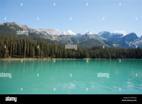 Maligne Lake Jasper national park Stock Photo - Alamy