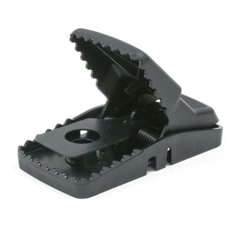 Top 10 Best Trex Rat Traps Reviews & Comparison - Glory Cycles