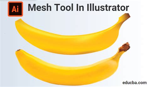 Mesh Tool In Illustrator | Guide to How to use Mesh tool in Illustrator?