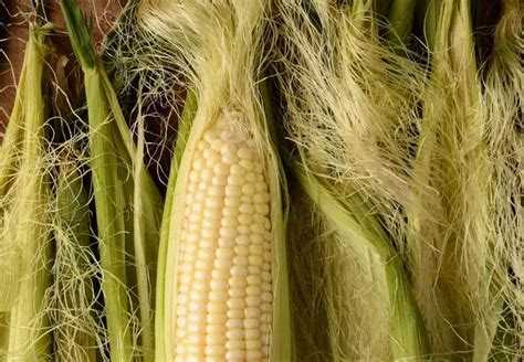 Should You Eat Corn Silk? 4 Health Benefits