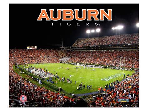 Auburn Tigers Stadium 8" x 10"