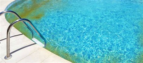 August...Mustard Algae 2.0 - Pacific Pool Supply