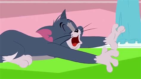 Tom jerry cartoon in urdu dailymotion - infologs