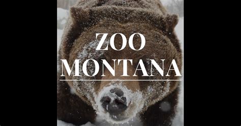 Zoo Montana