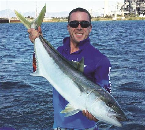 How Far Tagged Kingfish Travel - Bush 'n Beach Fishing Magazine