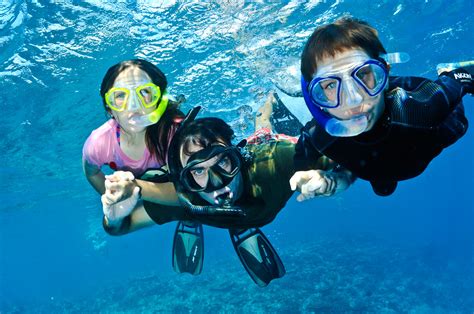 Fiji Snorkeling