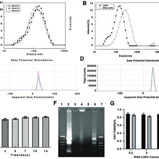 Characterization of lipid nanoparticles and RNA lipid nanoparticles ...