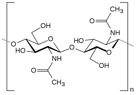 Polysaccharide: Definition & Examples - Video & Lesson Transcript | Study.com