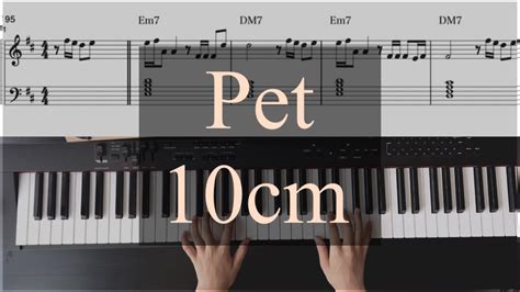 Pet-10cm piano cover/sheet - YouTube