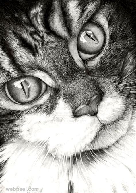 Realistic Pencil Drawings Cats - pencildrawing2019