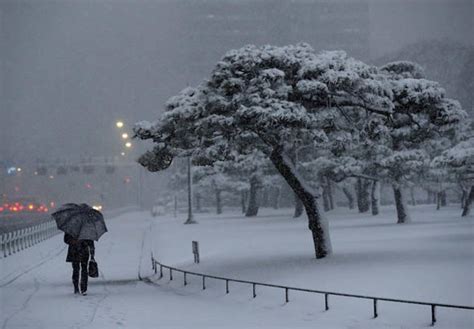 Tokyo weather: Snow storm SMASHES Tokyo for first time in 4 years | Weather | News | Express.co.uk