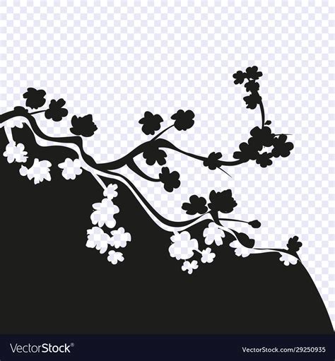 Sakura black-white drawing stylized Royalty Free Vector