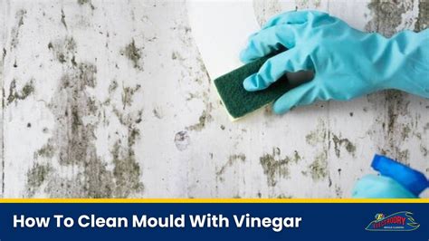 How to Clean Mould With Vinegar | Non-Toxic Mould Removal