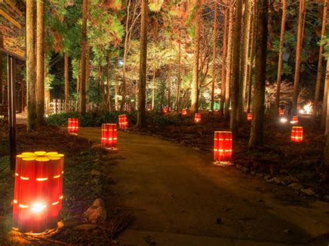 The Top 4 Picks for Kyoto Winter Illuminations 2019 | Japan Cheapo