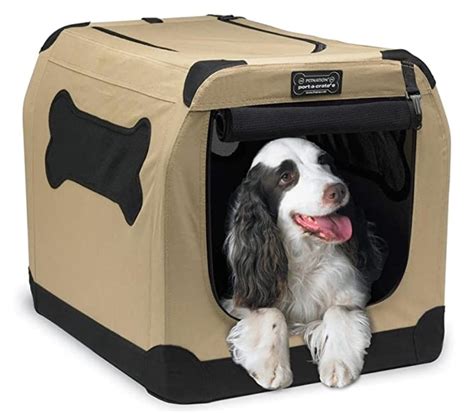 The 7 Best Collapsible Dog Crates for 2021 - Dogs Experts