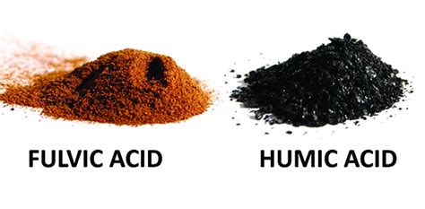 Fulvic acid and Humic Acid - What are fulvic acids & what are their side effects