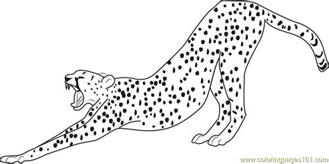 Running Cheetah Coloring Pages at GetColorings.com | Free printable colorings pages to print and ...