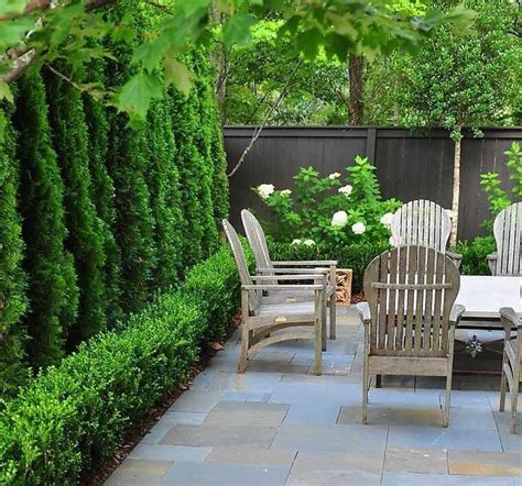 Une petite terrasse qui garde son intimité grâce à une haie de clôture ...