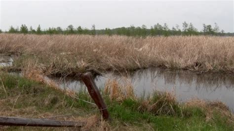 Work Continues On Floating Bog In North Long Lake - YouTube