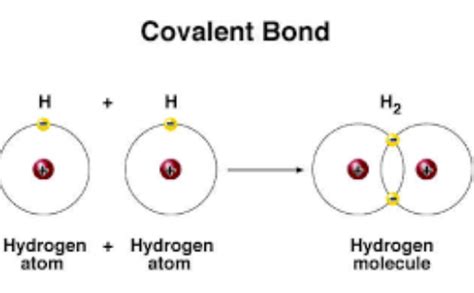 Covalent Compounds