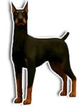 GENERAL SITE RULES | Sims Kennel Club