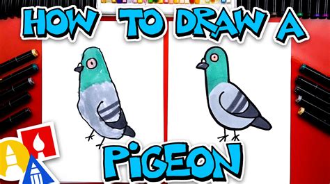 How To Draw A Pigeon - Art For Kids Hub